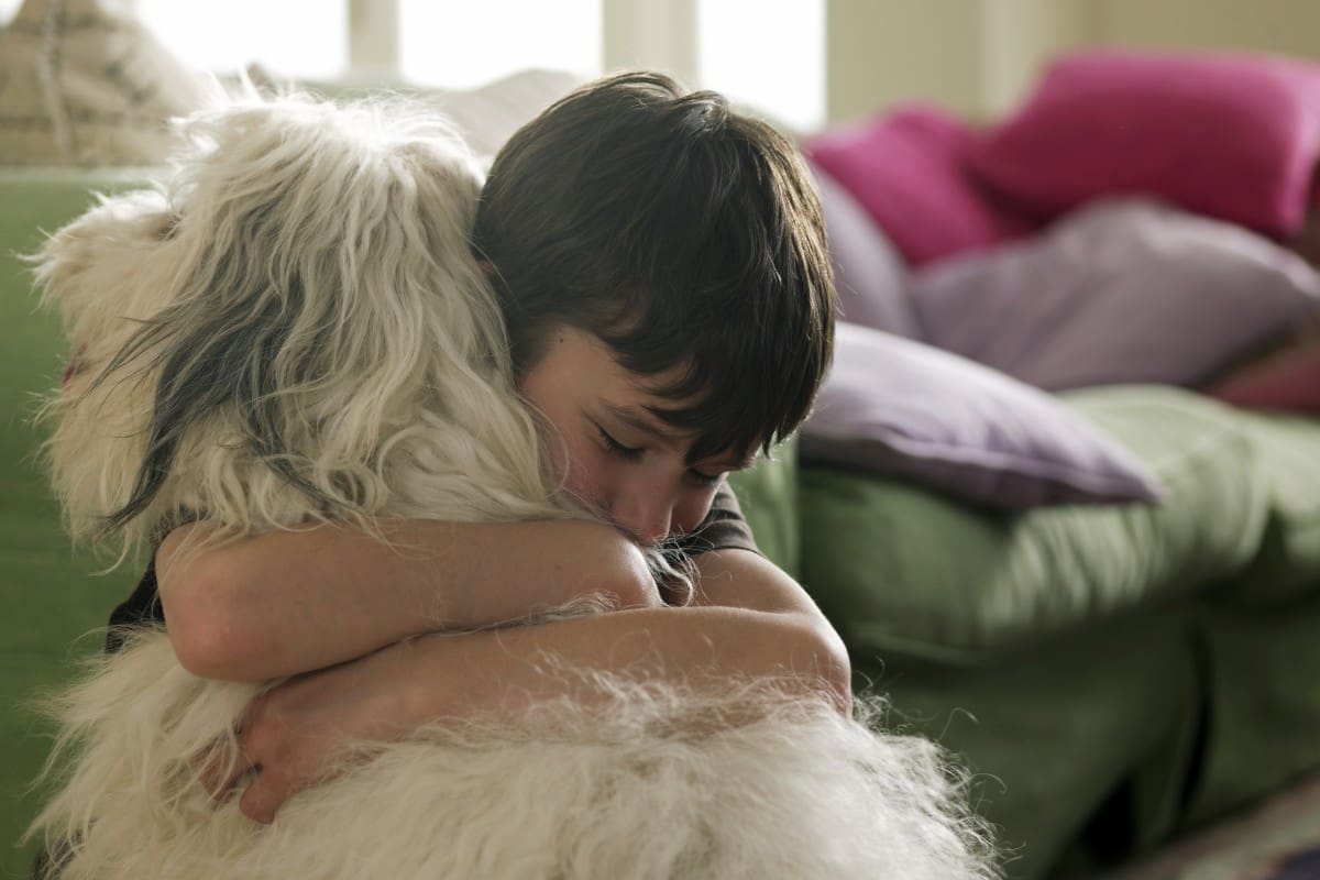 Animal-Assisted Therapy
